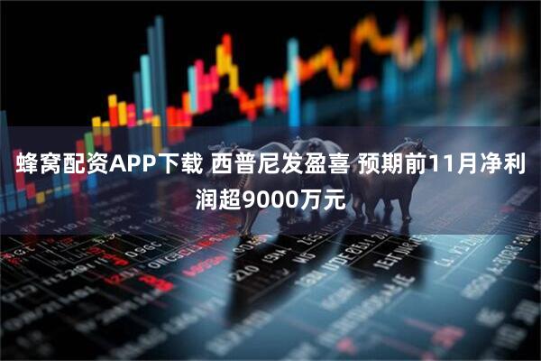 蜂窝配资APP下载 西普尼发盈喜 预期前11月净利润超9000万元
